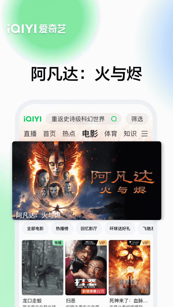 爱奇艺精简版
