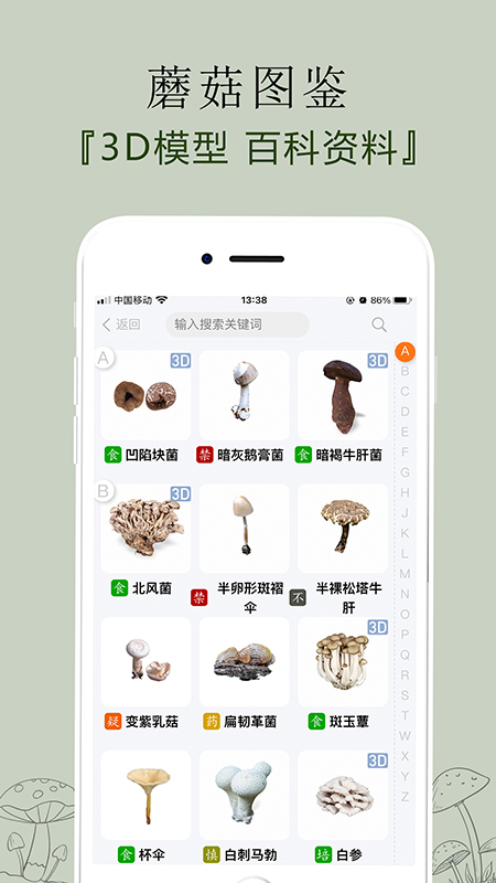 菌窝子拍照识菌