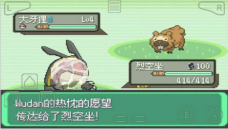 口袋妖怪绿宝石（金手指代码大全）