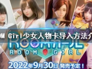room girl人物卡导入攻略
