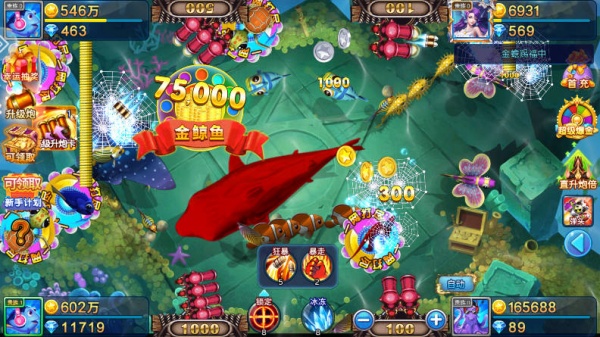 小玛丽捕鱼最新版