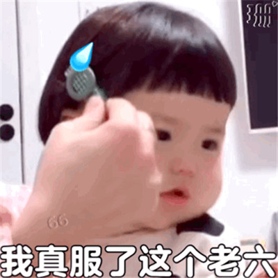 我服了你个老六表情包