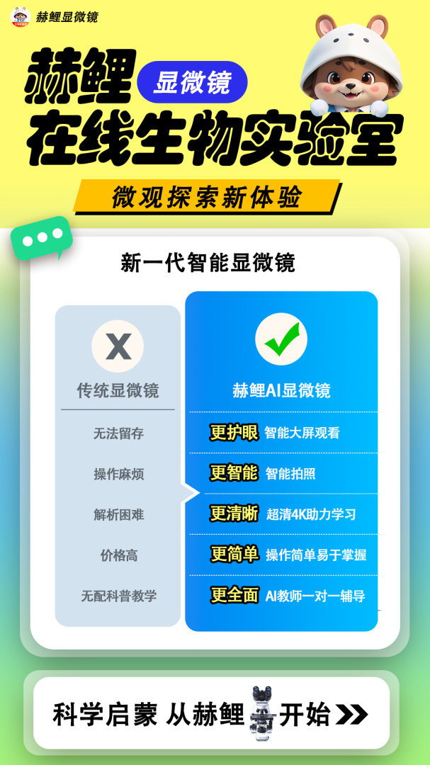 赫鲤