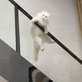 沙雕搞笑的动态微信表情包