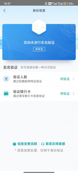 网上国网app