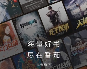 成年人必备的小说app