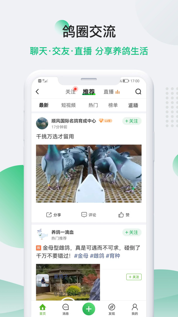 中国信鸽信息网