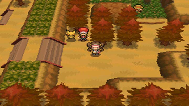 口袋妖怪超透黑2 2.5版