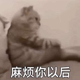 动态猫猫可爱的微信表情包
