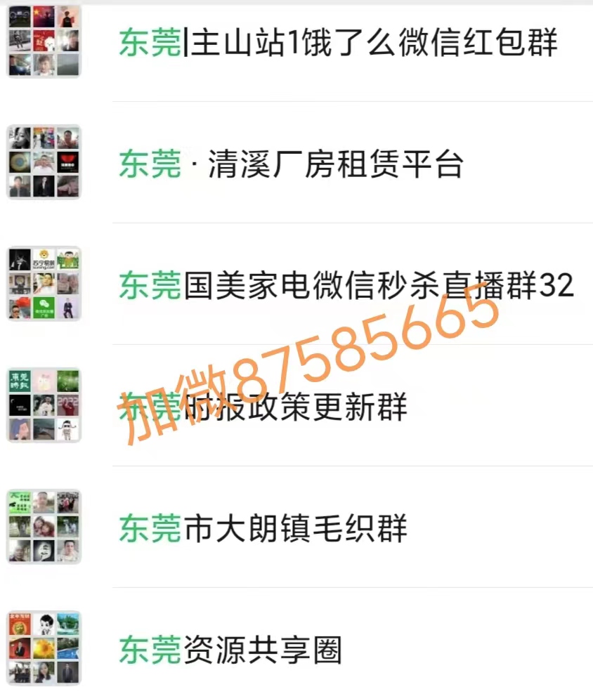 东莞本地群