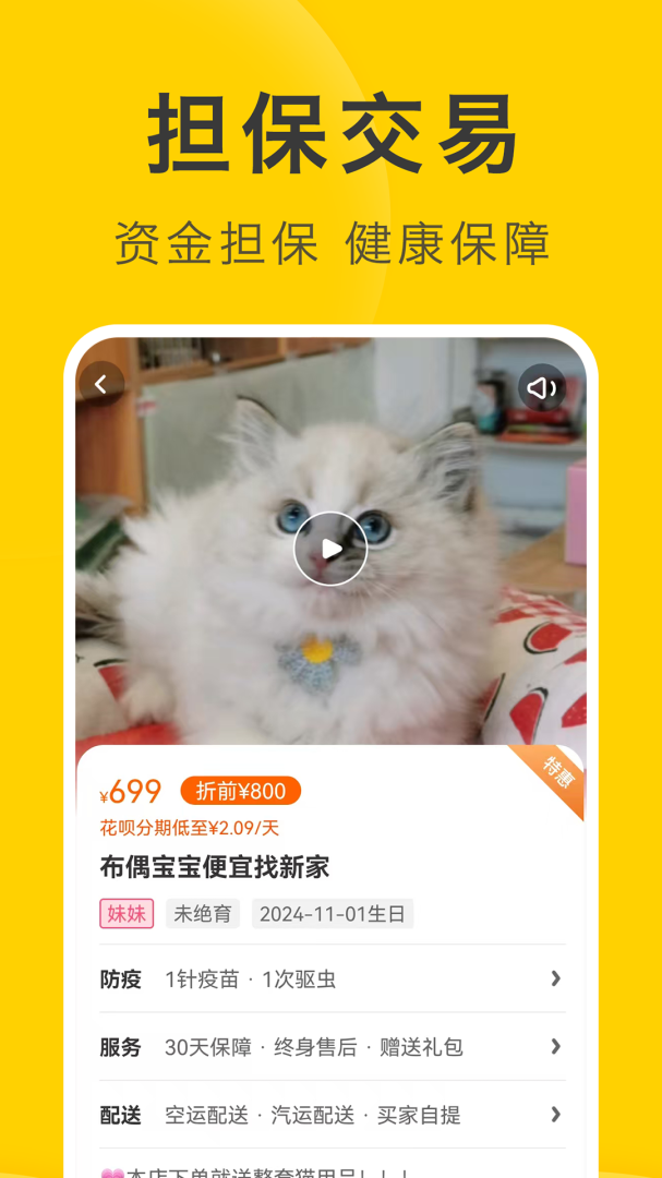 买只宠物