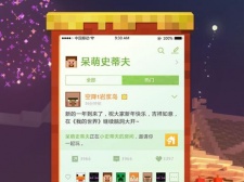 我的世界国际服中文版