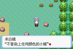 口袋妖怪蛇纹木修改器版