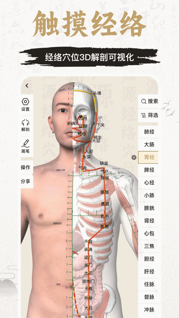 中济经络穴位
