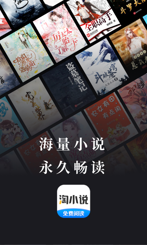 淘小说大字版