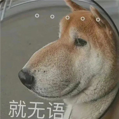 看一眼就会偷偷保存的表情