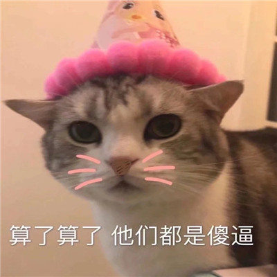 可爱卖萌的萌宠微信表情包