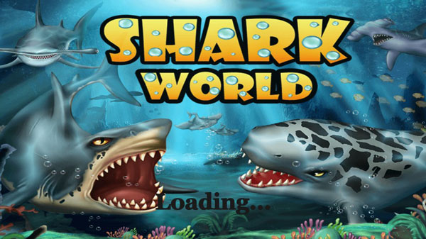 鲨鱼世界