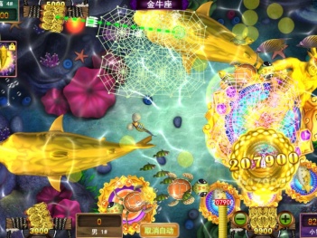 能打金龟的捕鱼