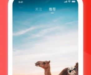 91小视频历史版本