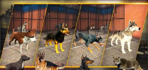 特别行动小组2020