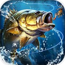 天天爱钓鱼九游版