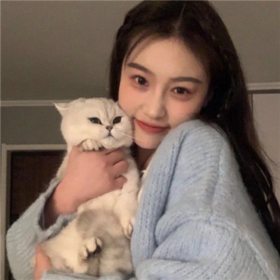 抱着猫的高颜值女生微信头像