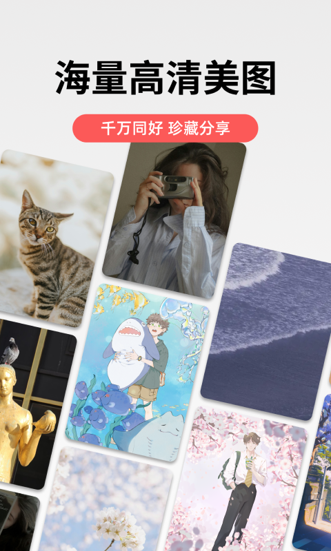 堆糖官方版