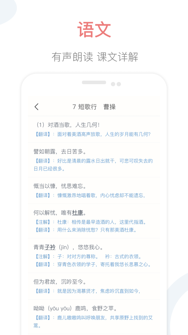 掌上高中