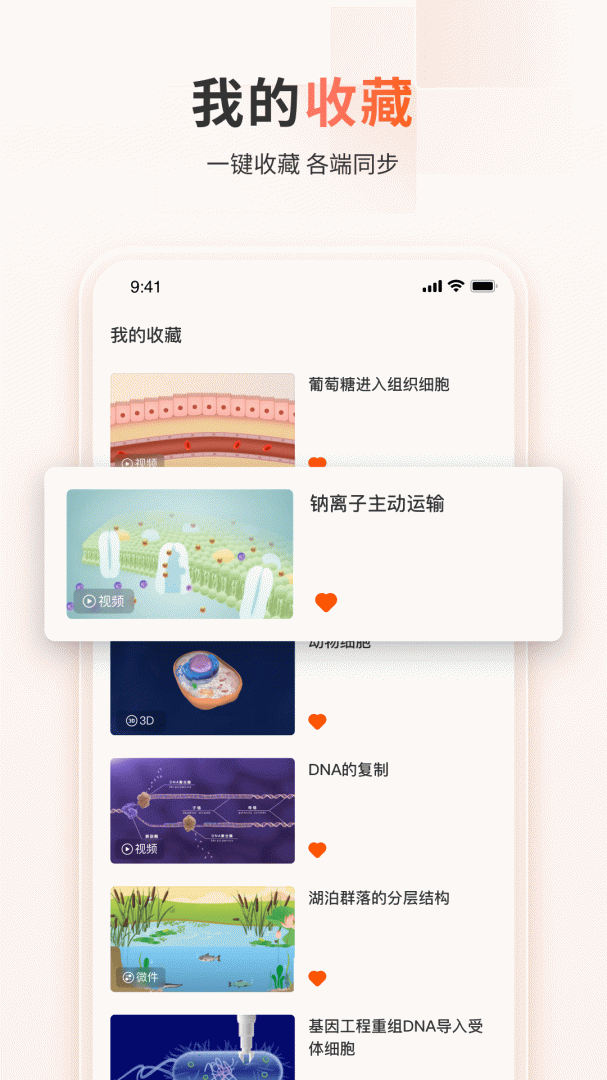 火花学院