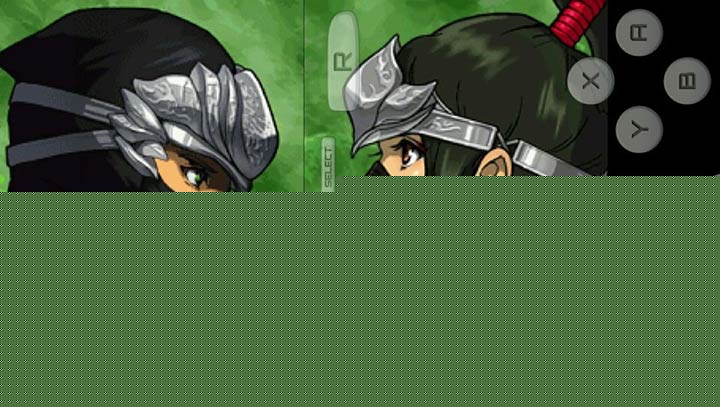 忍者龙剑传移植版