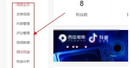 西瓜视频(免费追剧)