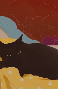 ipad桌面锁屏壁纸微信素材图片