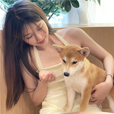 氛围感满满的情头