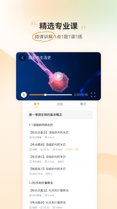 芝士医生