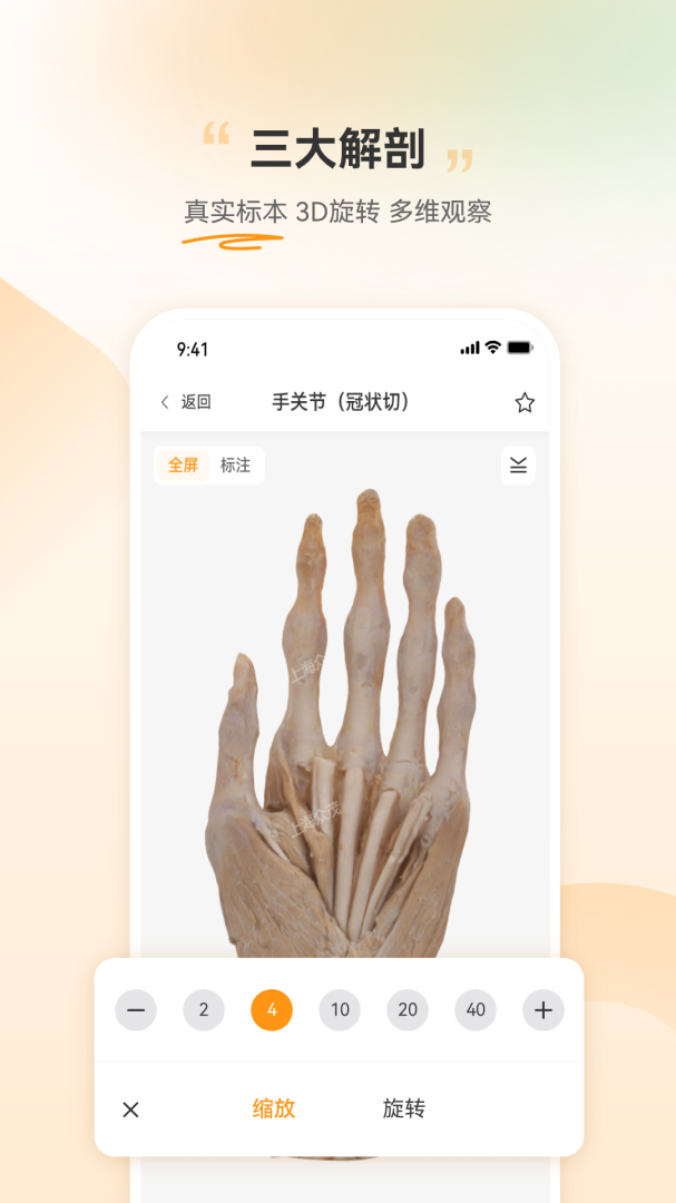 芝士医生