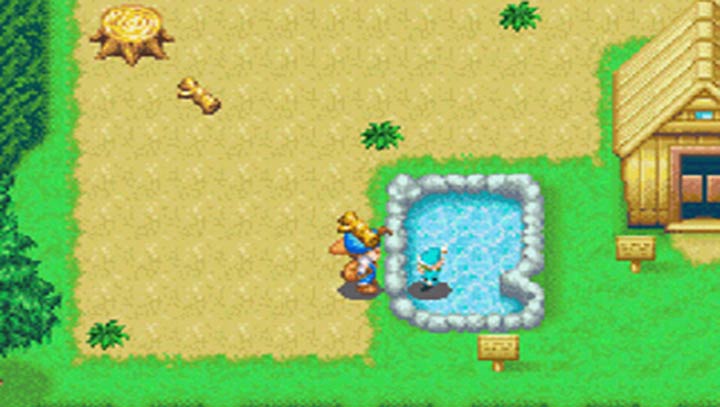 牧场物语精灵驿站