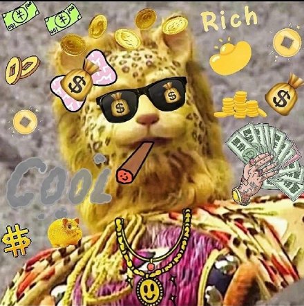 祝你新的一年发财金钱豹微信头像