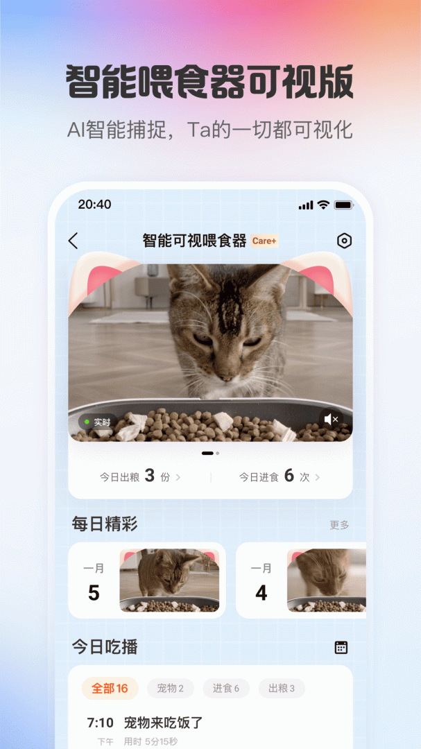 小佩宠物