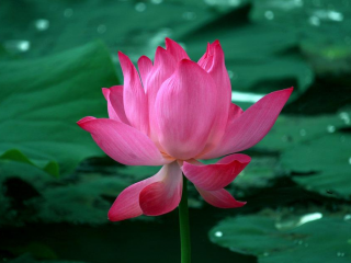 分享日常的社交交友