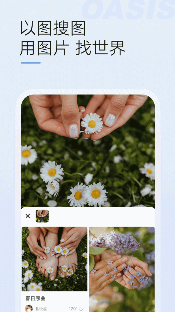 绿洲app