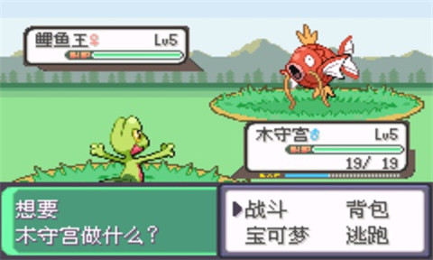 口袋妖怪究极绿宝石0.5.1