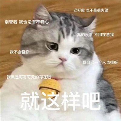 经典好笑的微信表情包