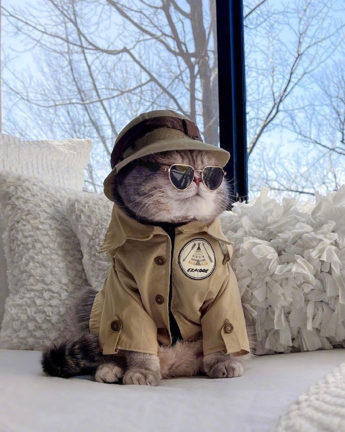 酷酷的百变喵星人微信头像