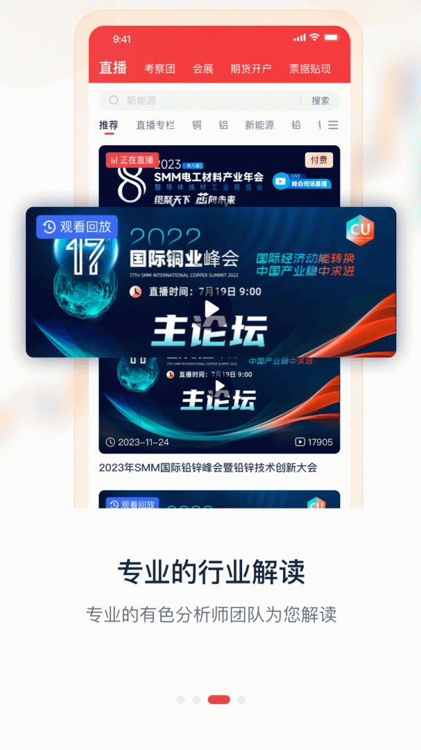 掌上有色