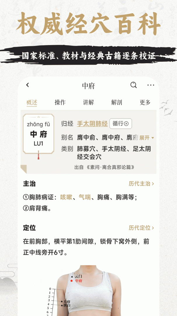 中济经络穴位