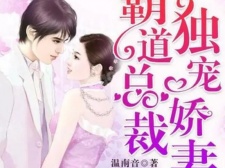 高人气有声小说