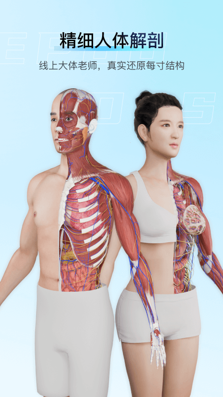 解剖大师