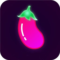 91茄子(懂你更多)