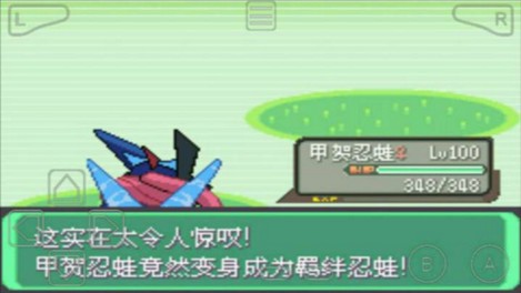 口袋妖怪绿宝石（金手指代码大全）